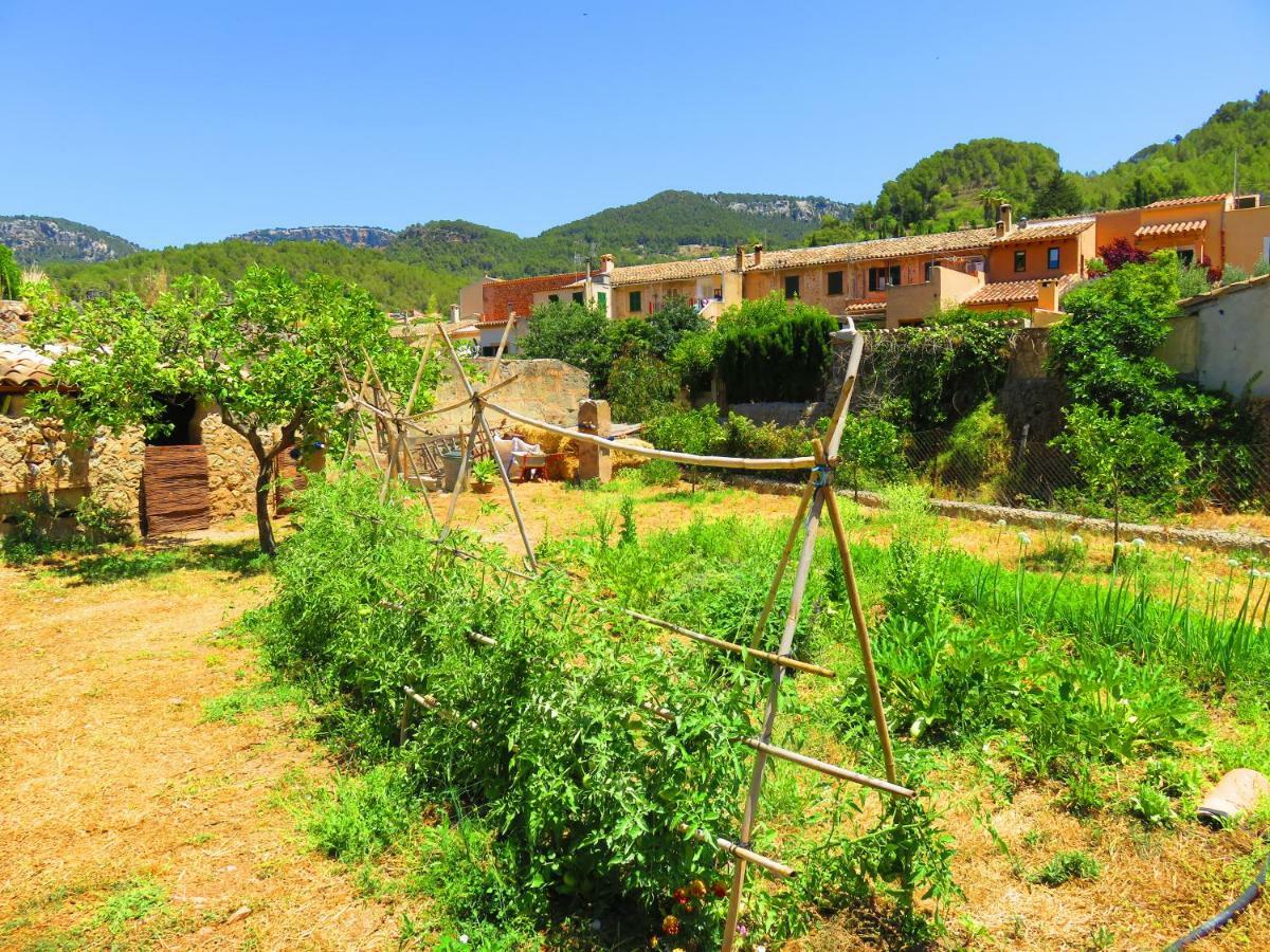 Sa Fita Backpackers - Albergue Juvenil Esporles Exteriör bild